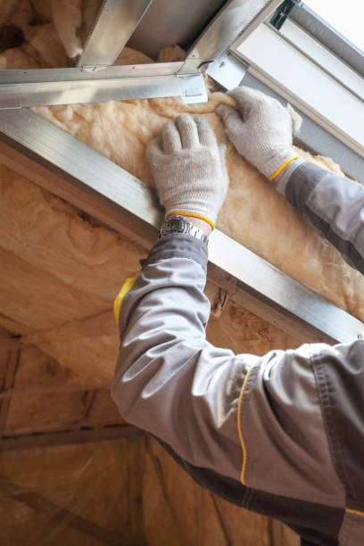 Best Residential Insulation in Grand Rapids, MN